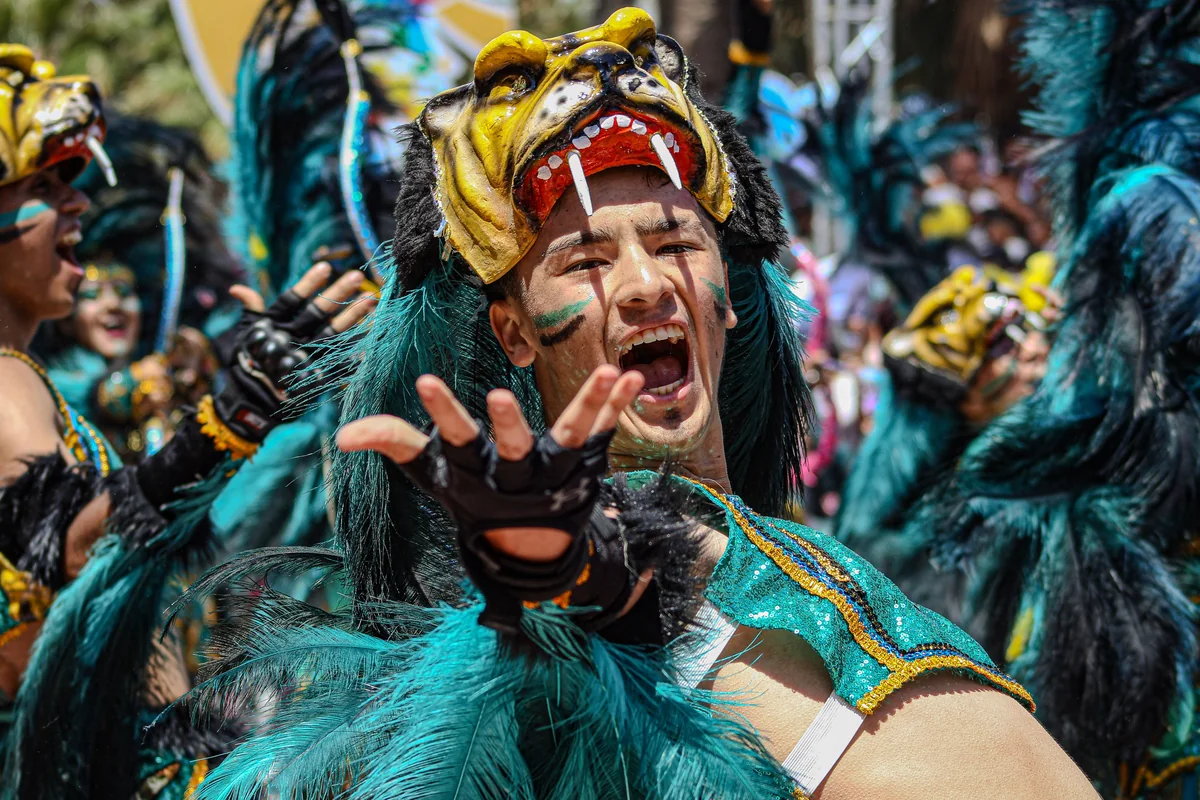 A masked dancer in a feathered costume at an Andean carnival in northern Chile, representative of the region's folk-dance tradition